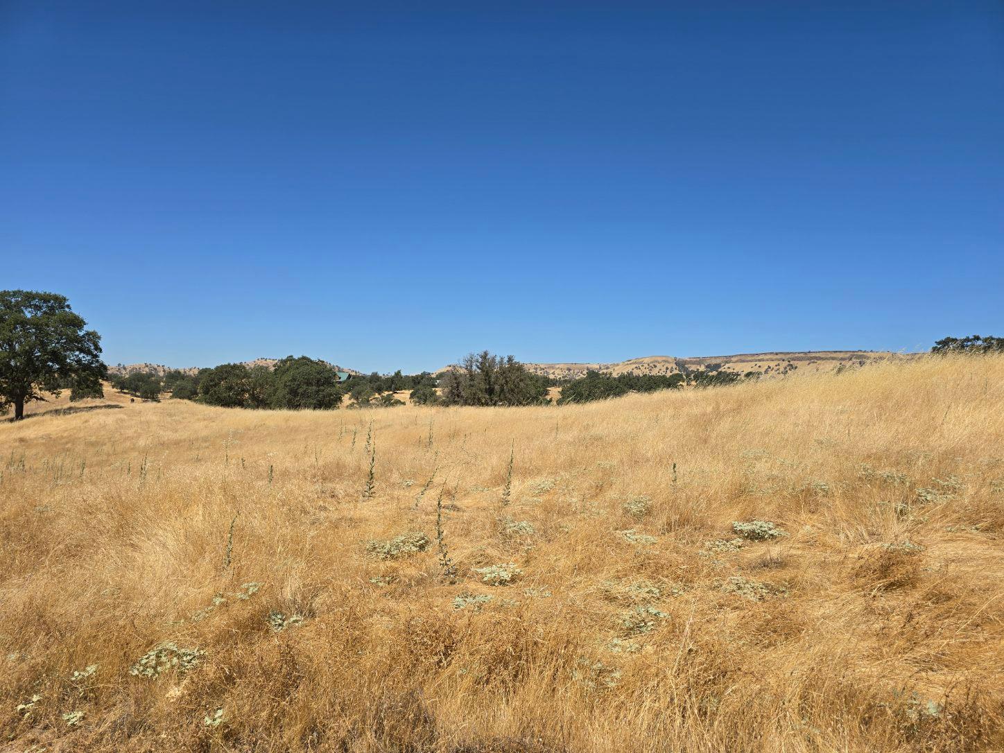 11999 Millerton Rd, Clovis, CA 93619