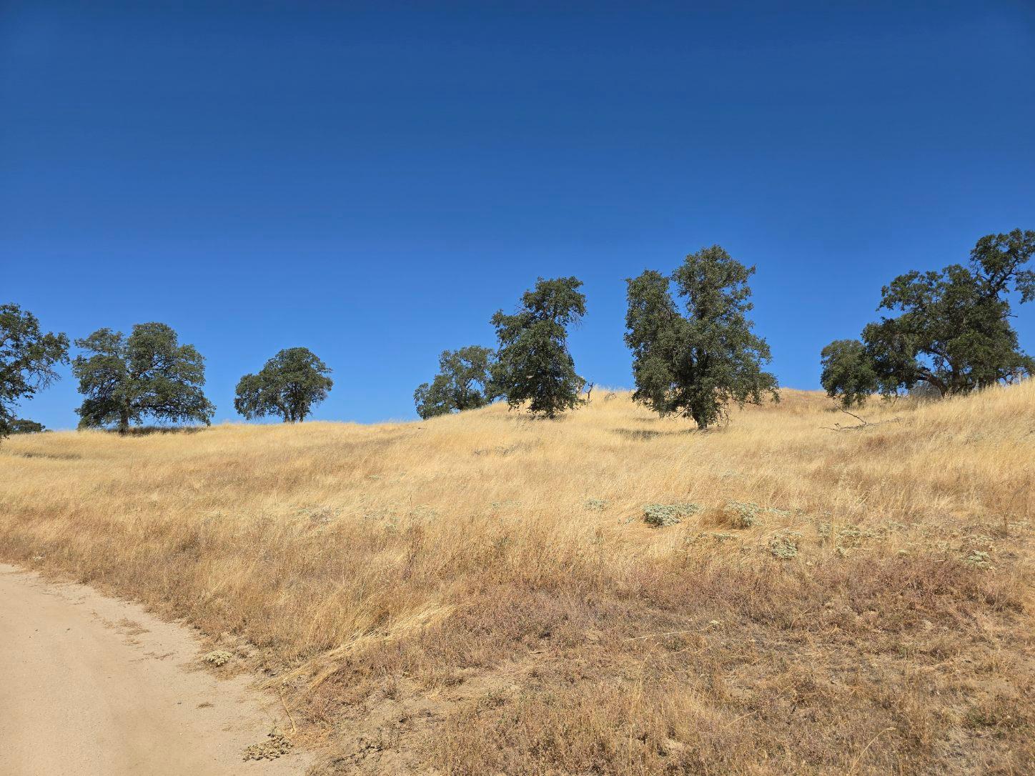 11999 Millerton Rd, Clovis, CA 93619
