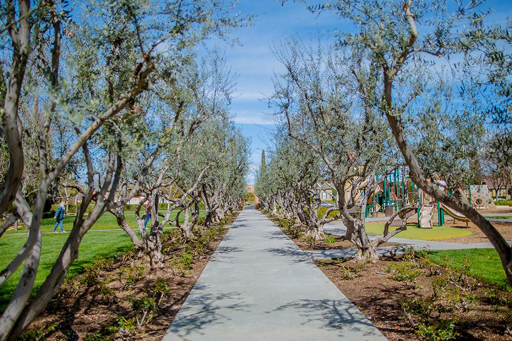 1587 N STRADA Way, Clovis, CA 93619