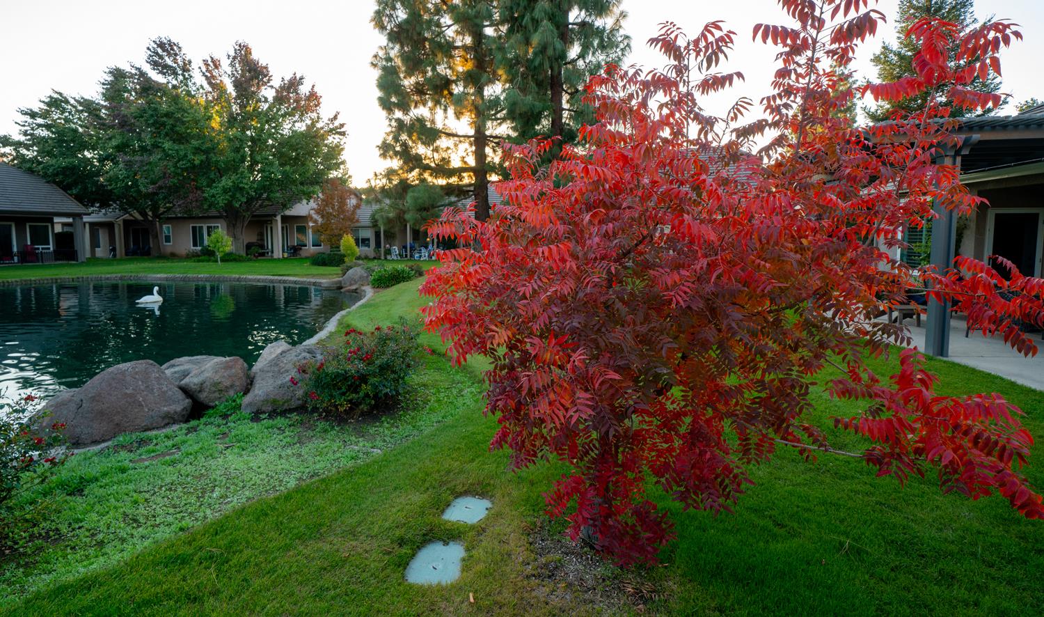 2272 Dawson Cove Ln, Clovis, CA 93611