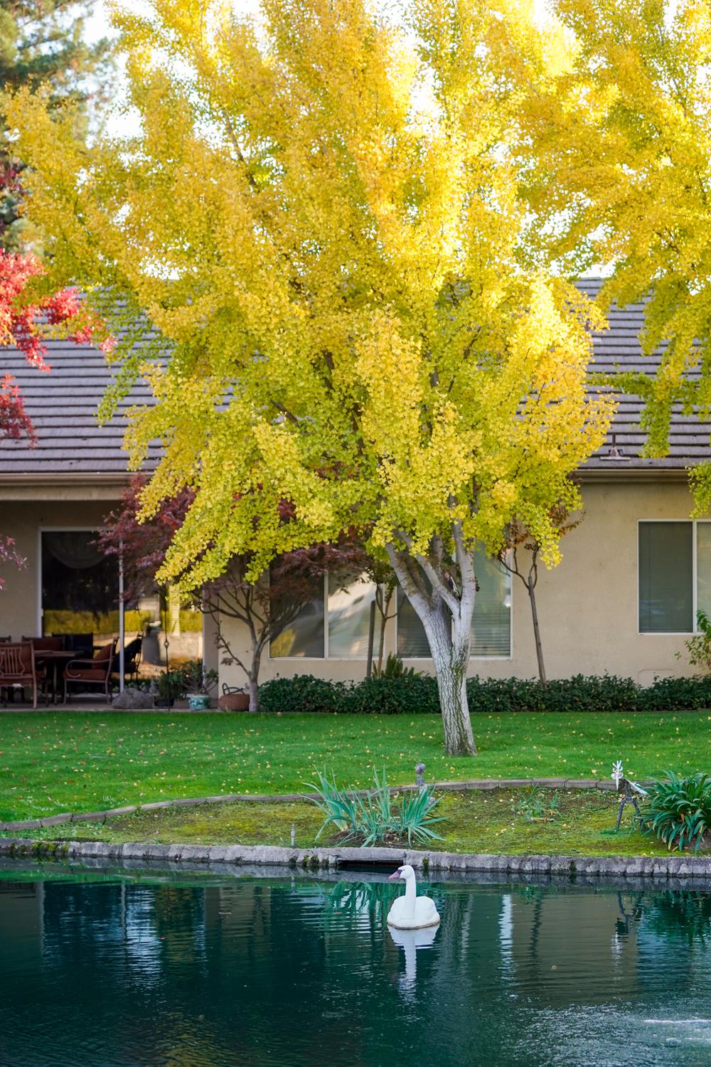 2272 Dawson Cove Ln, Clovis, CA 93611