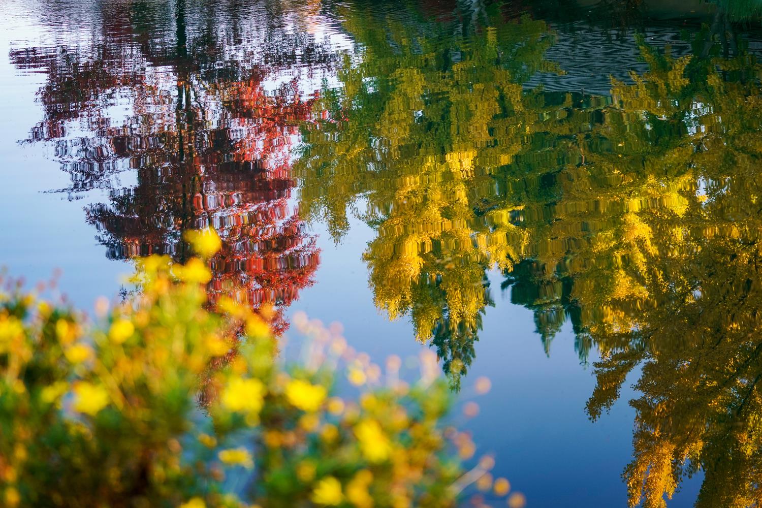 2272 Dawson Cove Ln, Clovis, CA 93611