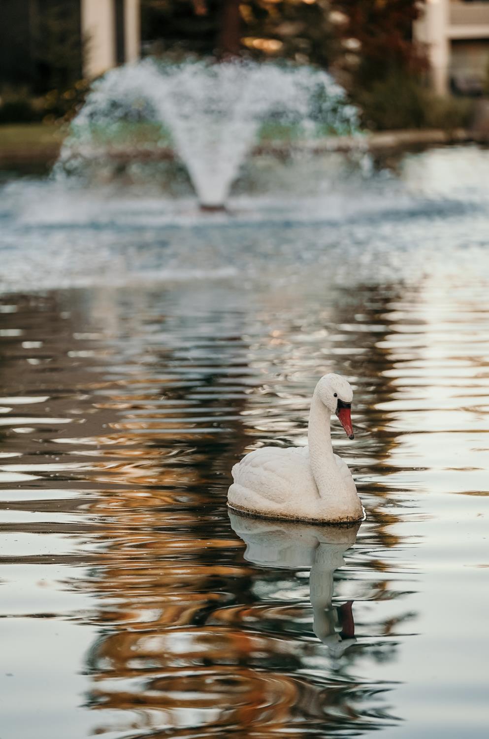 2272 Dawson Cove Ln, Clovis, CA 93611