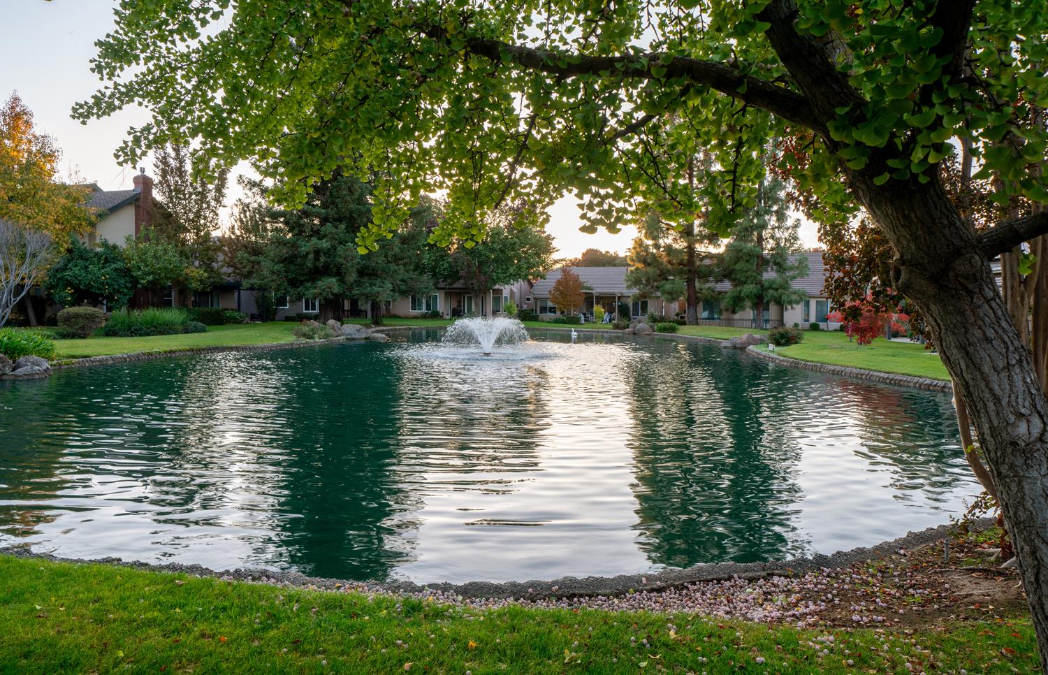 2272 Dawson Cove Ln, Clovis, CA 93611