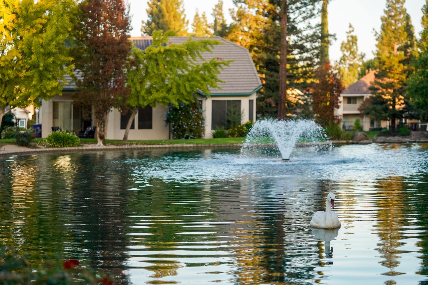 2272 Dawson Cove Ln, Clovis, CA 93611