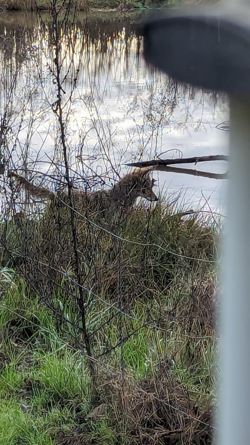 6510 E Copper Ave, Clovis, CA 93619