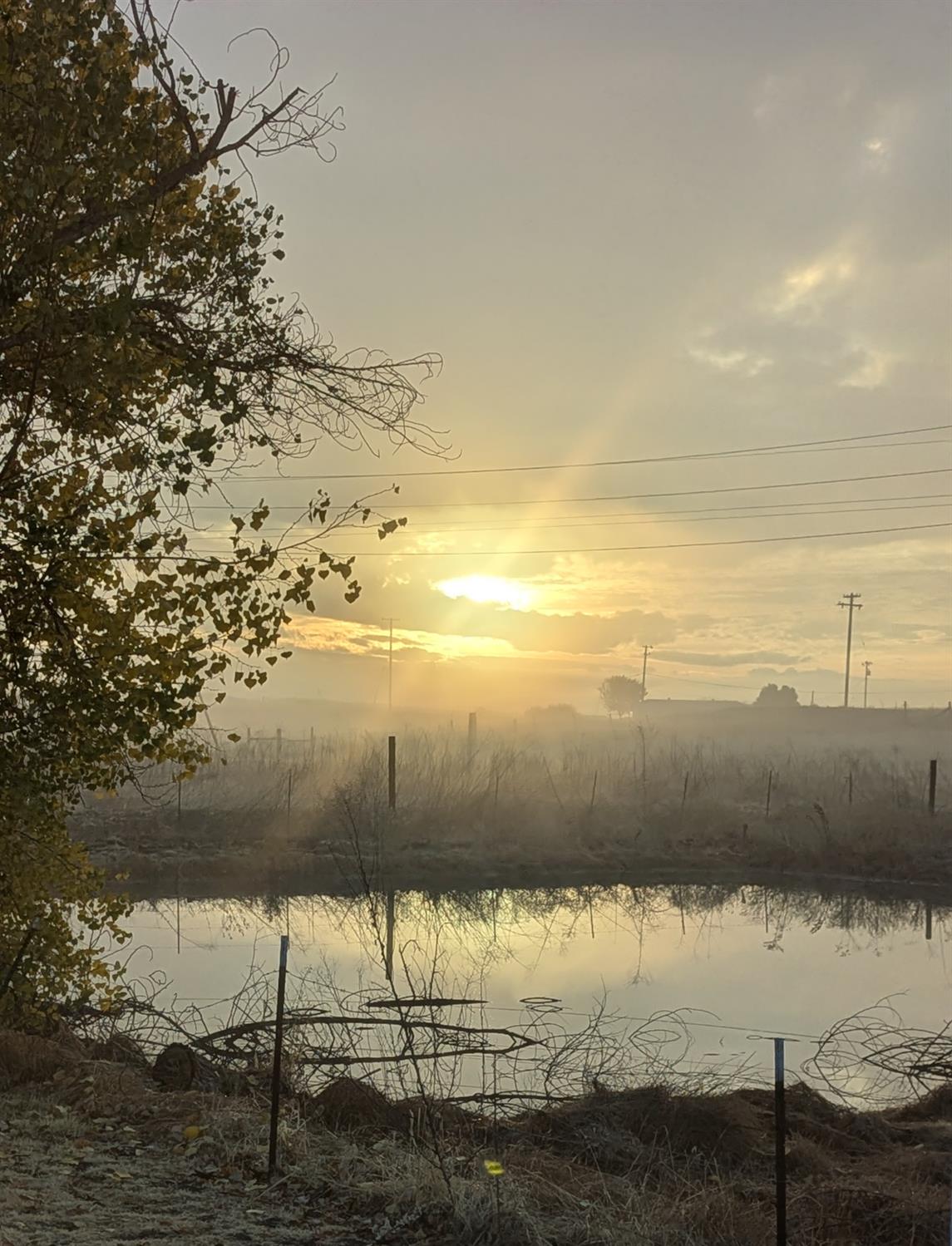 6510 E Copper Ave, Clovis, CA 93619