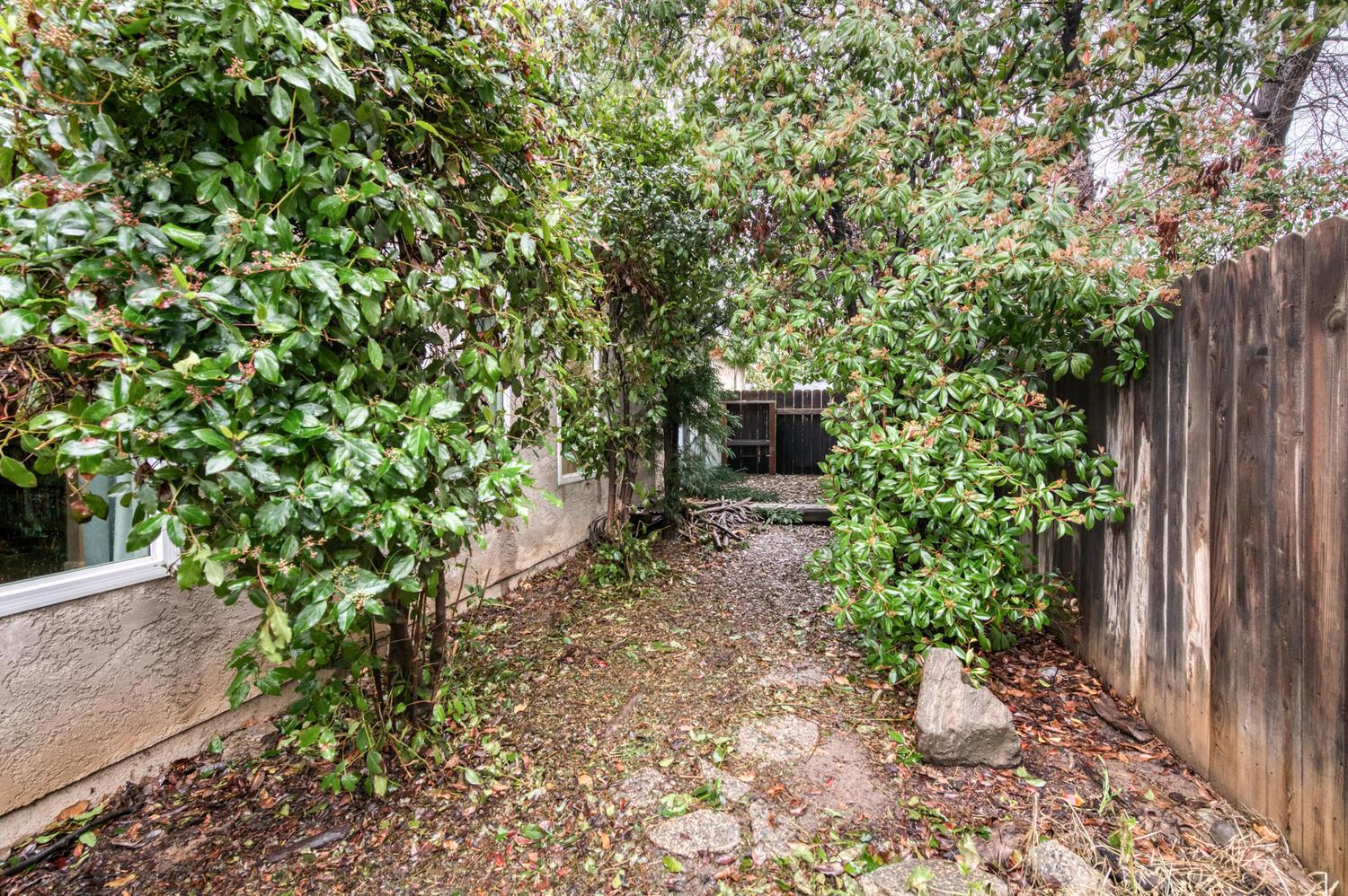 288 W Magill Ave, Clovis, CA 93612