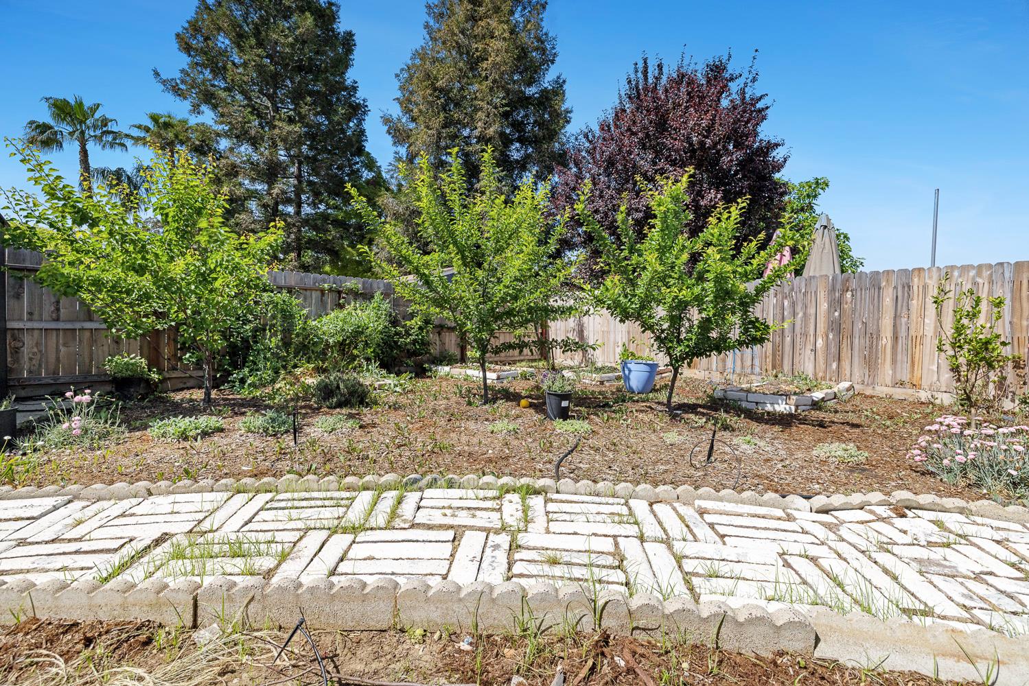 1535 Bliss Ave, Clovis, CA 93611